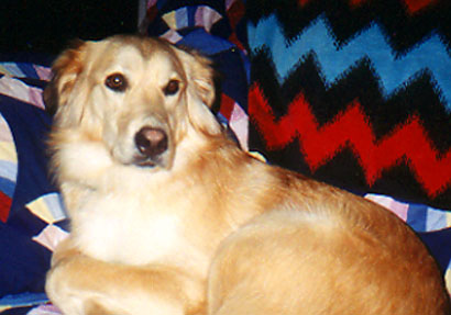 Kirk's Shilo