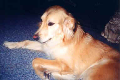 Shilo - Wow am I handsome or what?