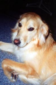 Shilo - Please don't stare